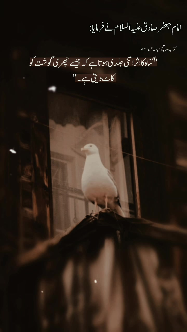 @ℤ𝕒𝕣𝕥𝕒𝕛⃝ 🤍