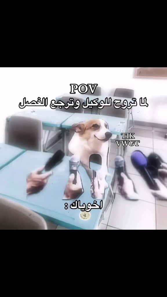 @Tomy