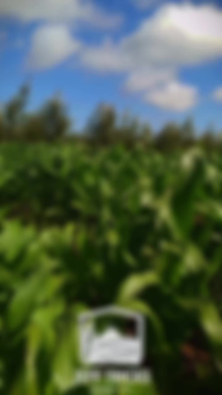 @JEFF TRICKS FARM