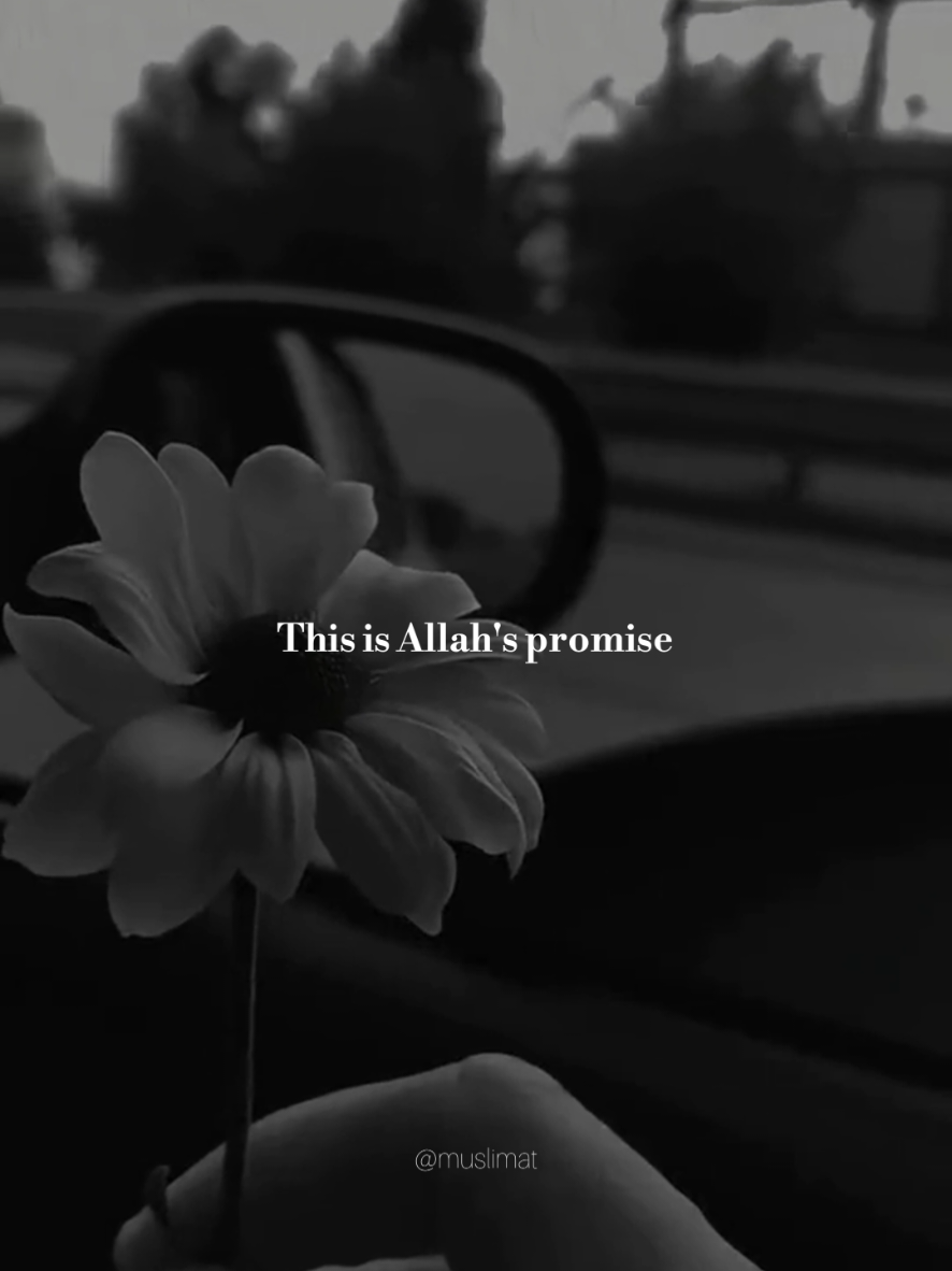 @Muslimat | مسلمة