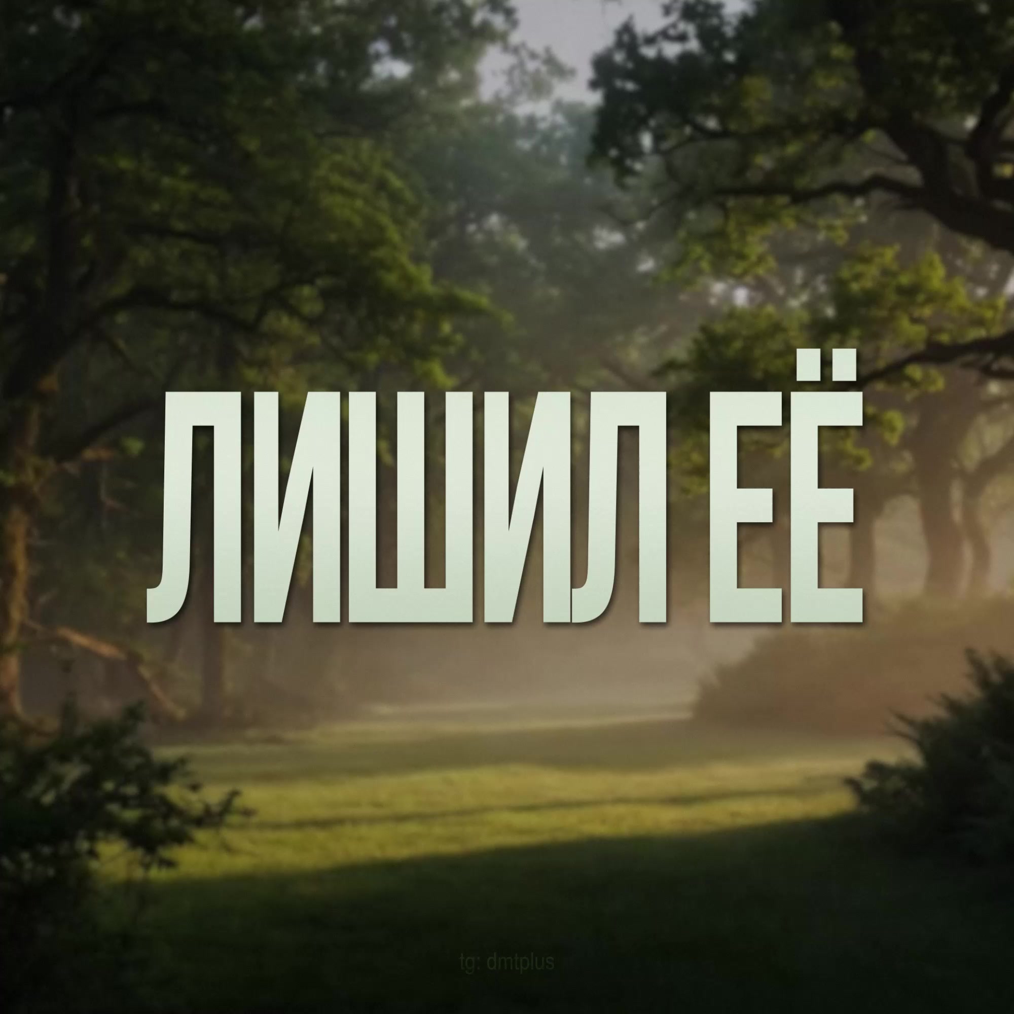 @dmt +