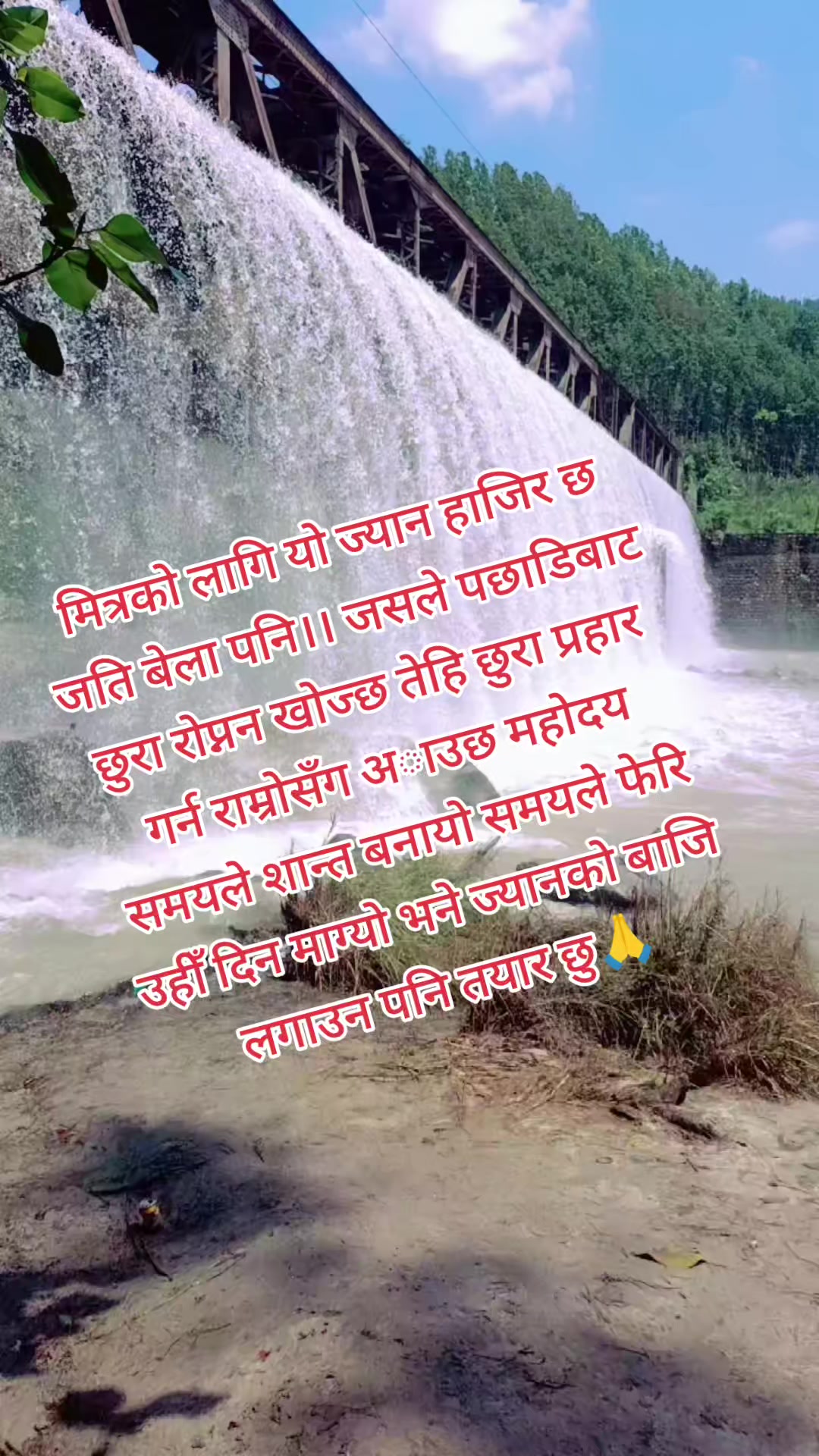 @💗Nava💗 Razz💘 Mishra❤️