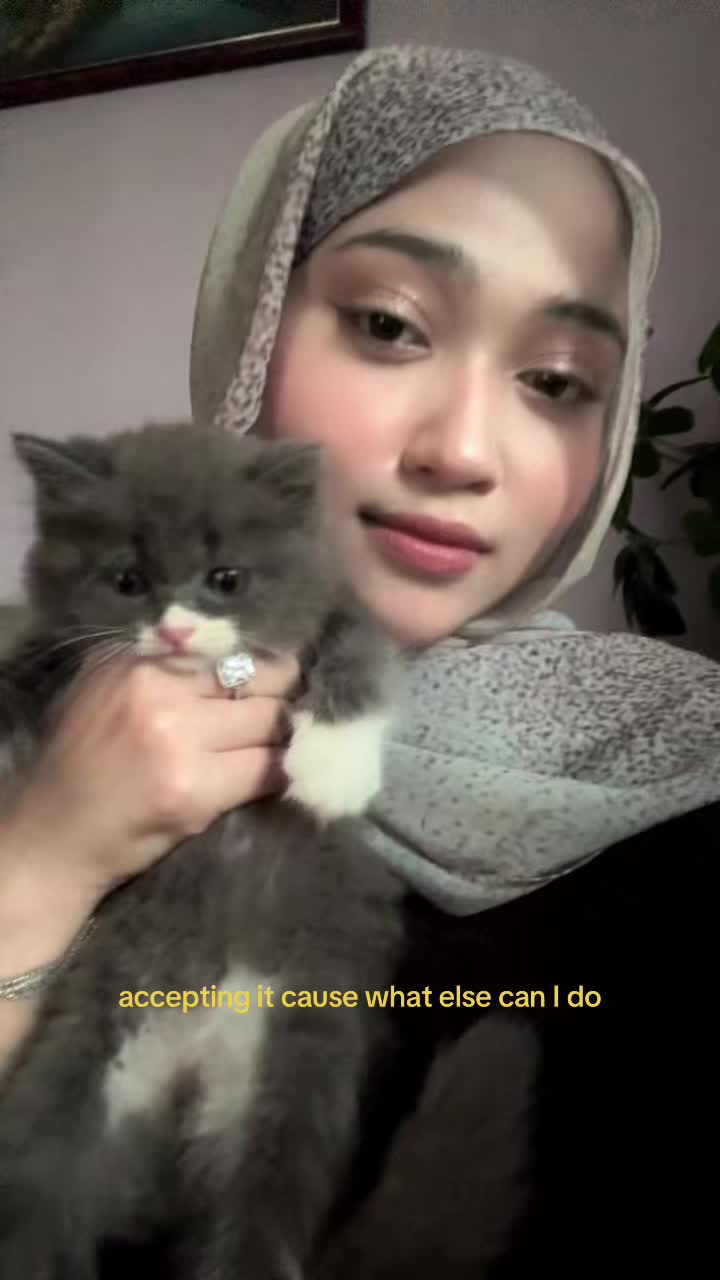 @syaazami