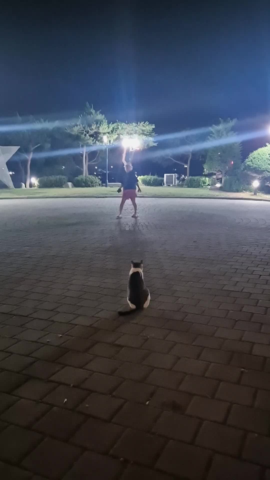 @익스모빌/김동석