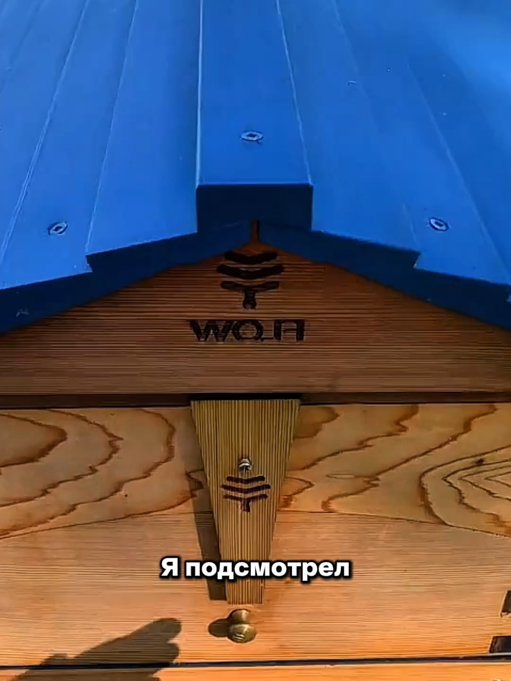 @Igor Ganea