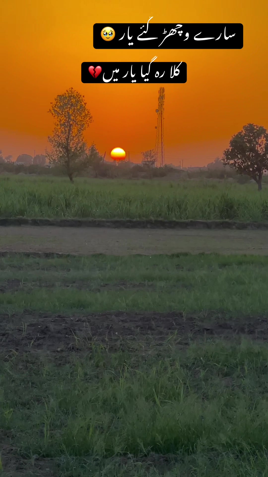 @🥀مٹی پنجاب دی🥀