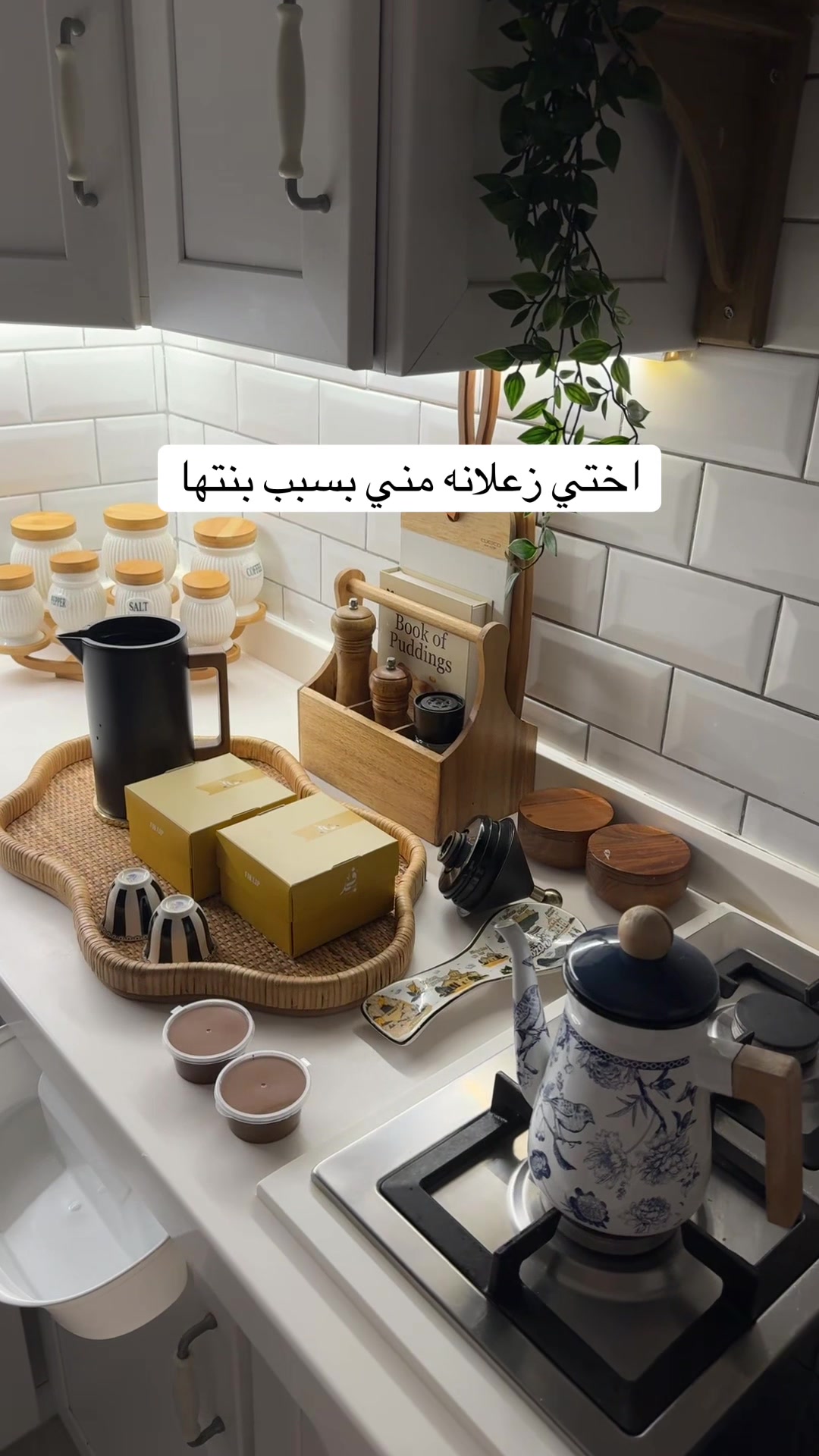 @فوز محمد 🌱
