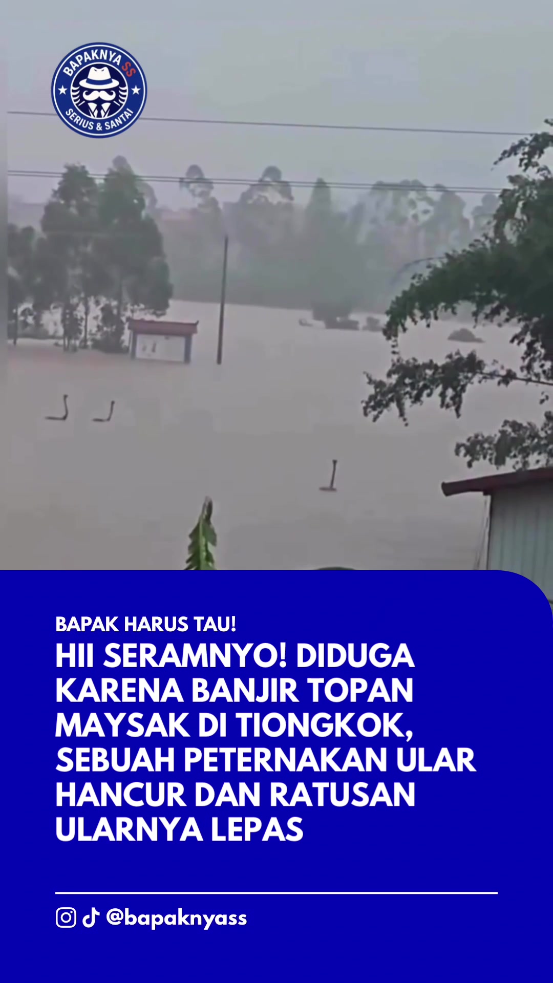 @Bapaknya Serius dan seru