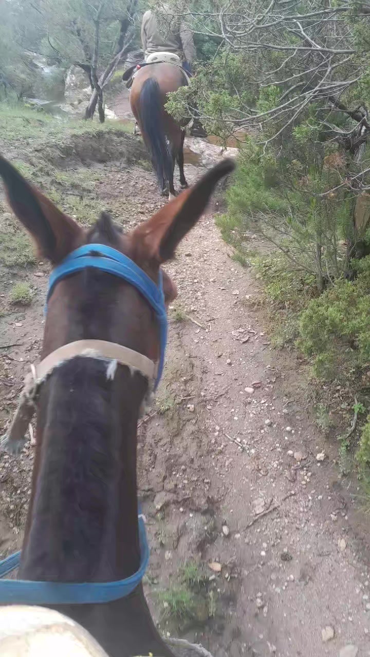 @Nico Herrera