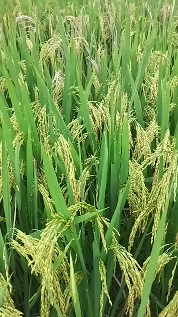 @XuânMai🫶