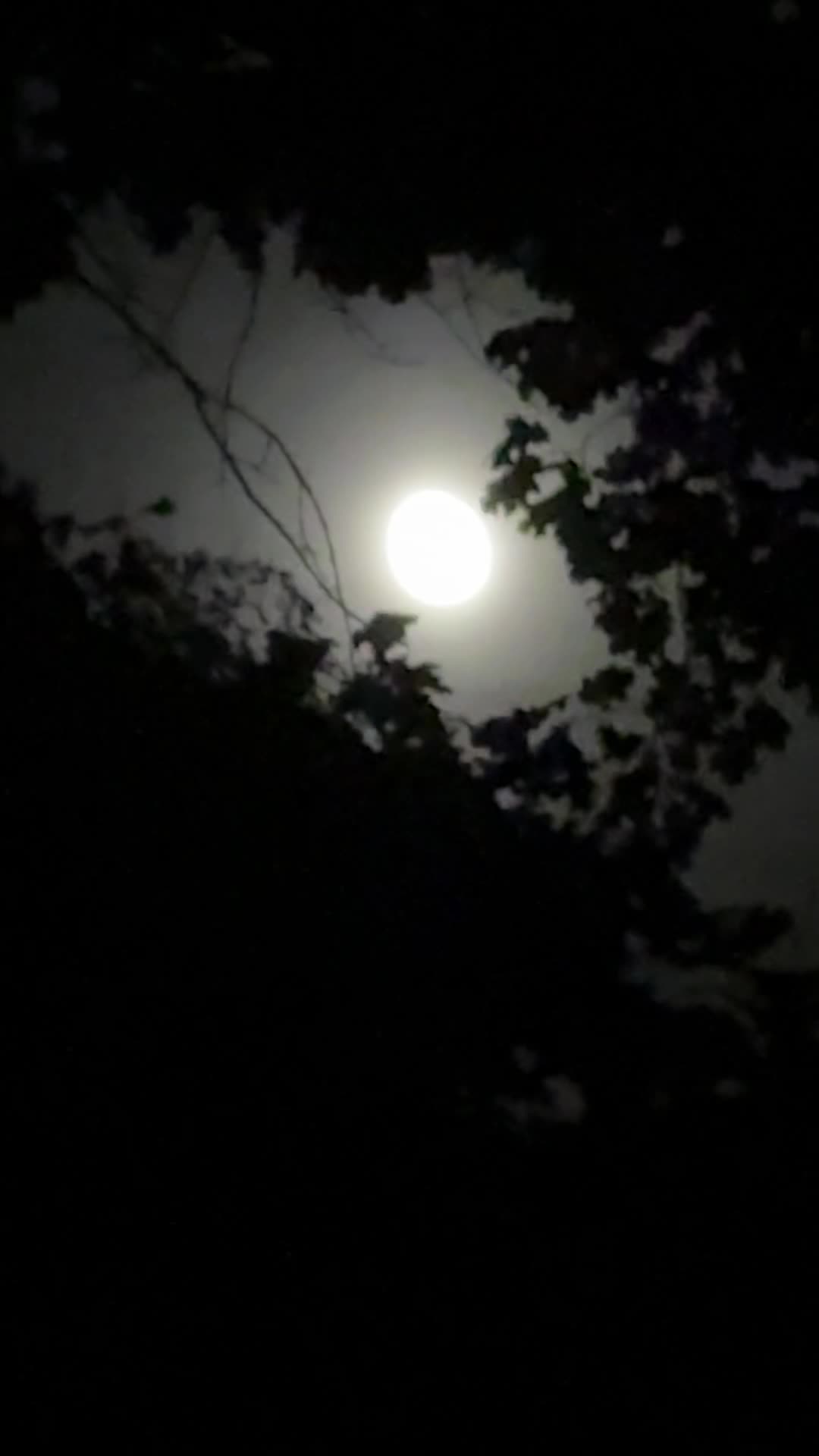 @DrummerBoy (Nicest Guy on TT)