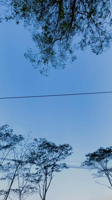 @-nigma aliansha-