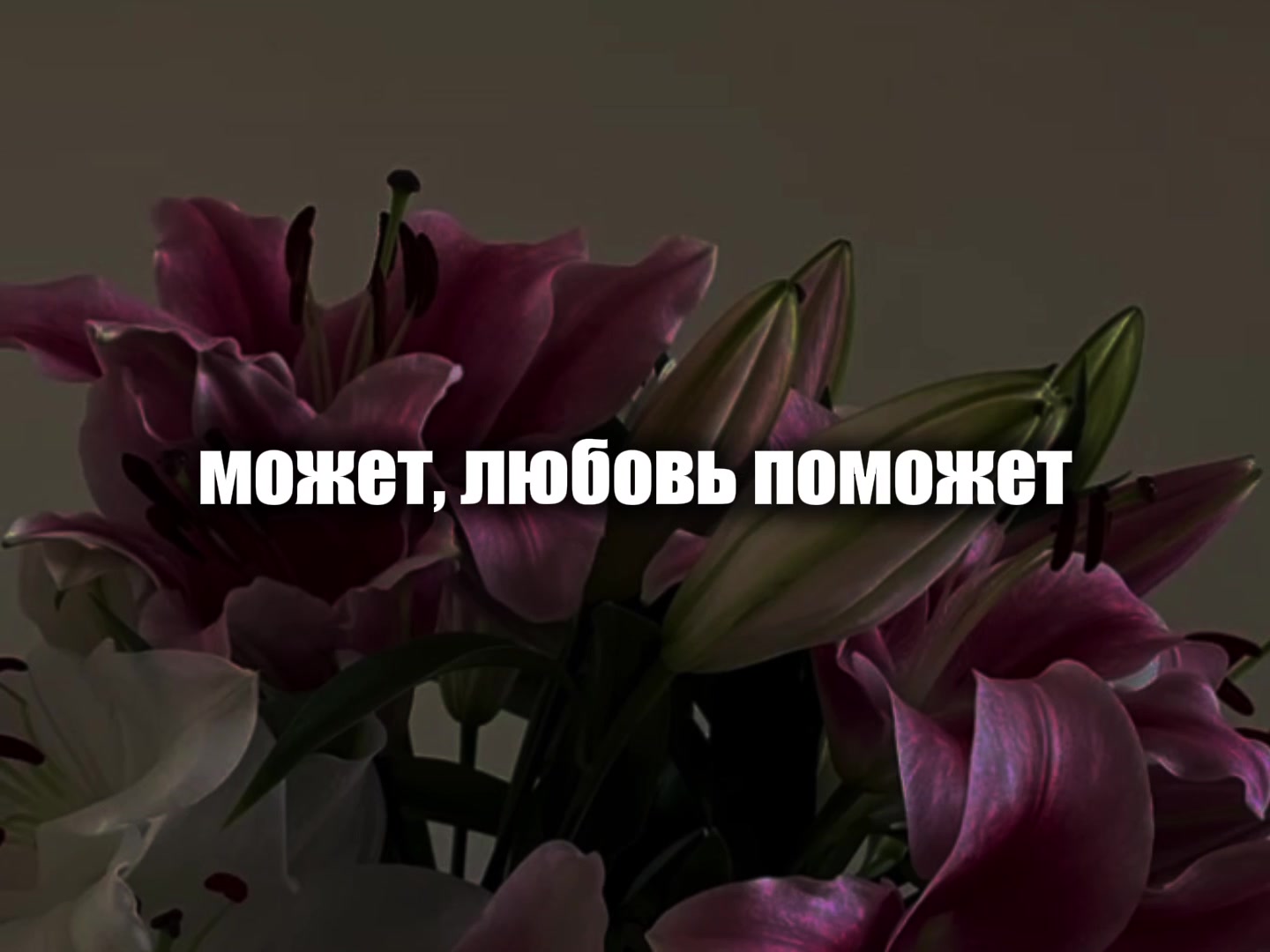 @музыка для липсингов
