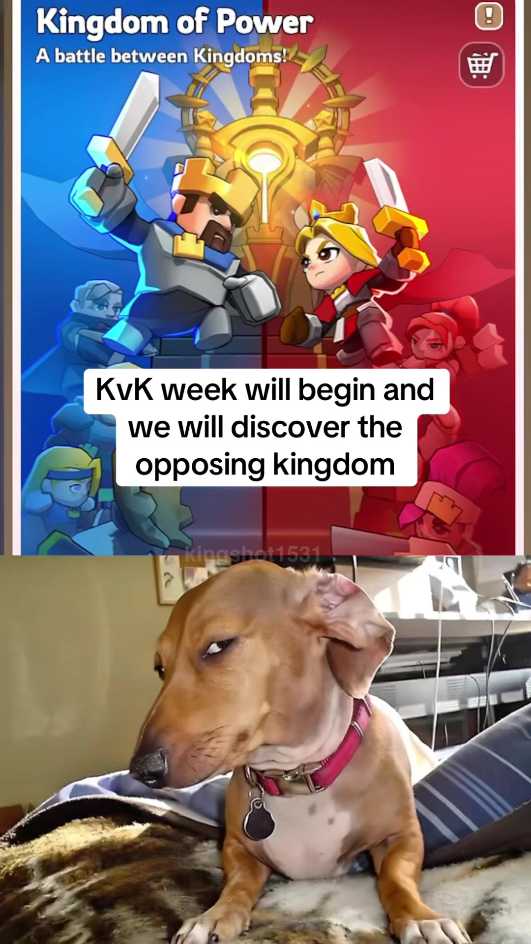 @Kingshot 1531