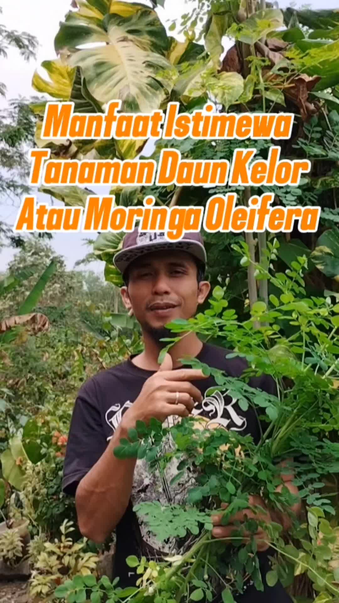 @Bukit Farming