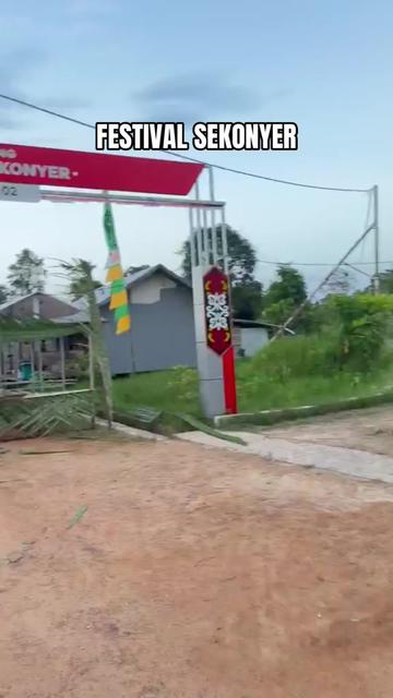 @Wonderful Tanjung Puting