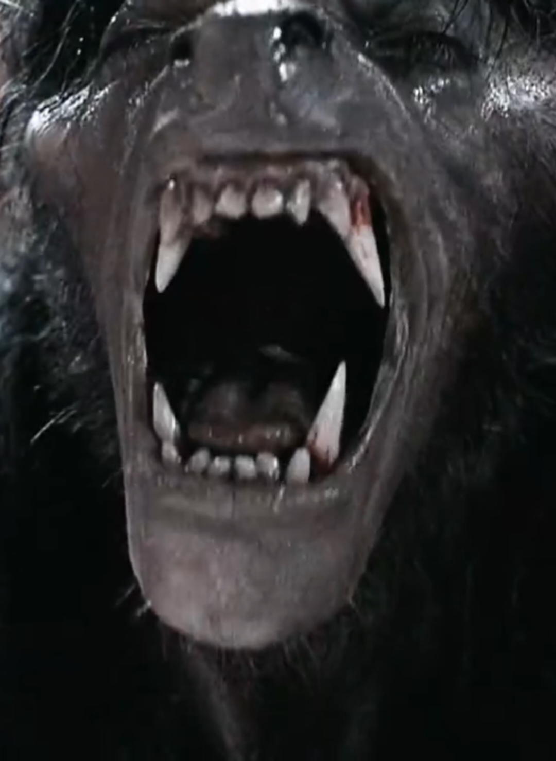 @horrorflix