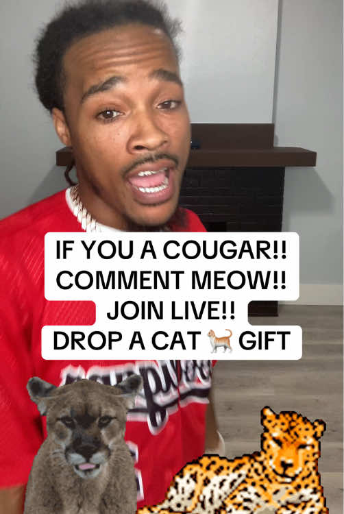 @jhfoetv