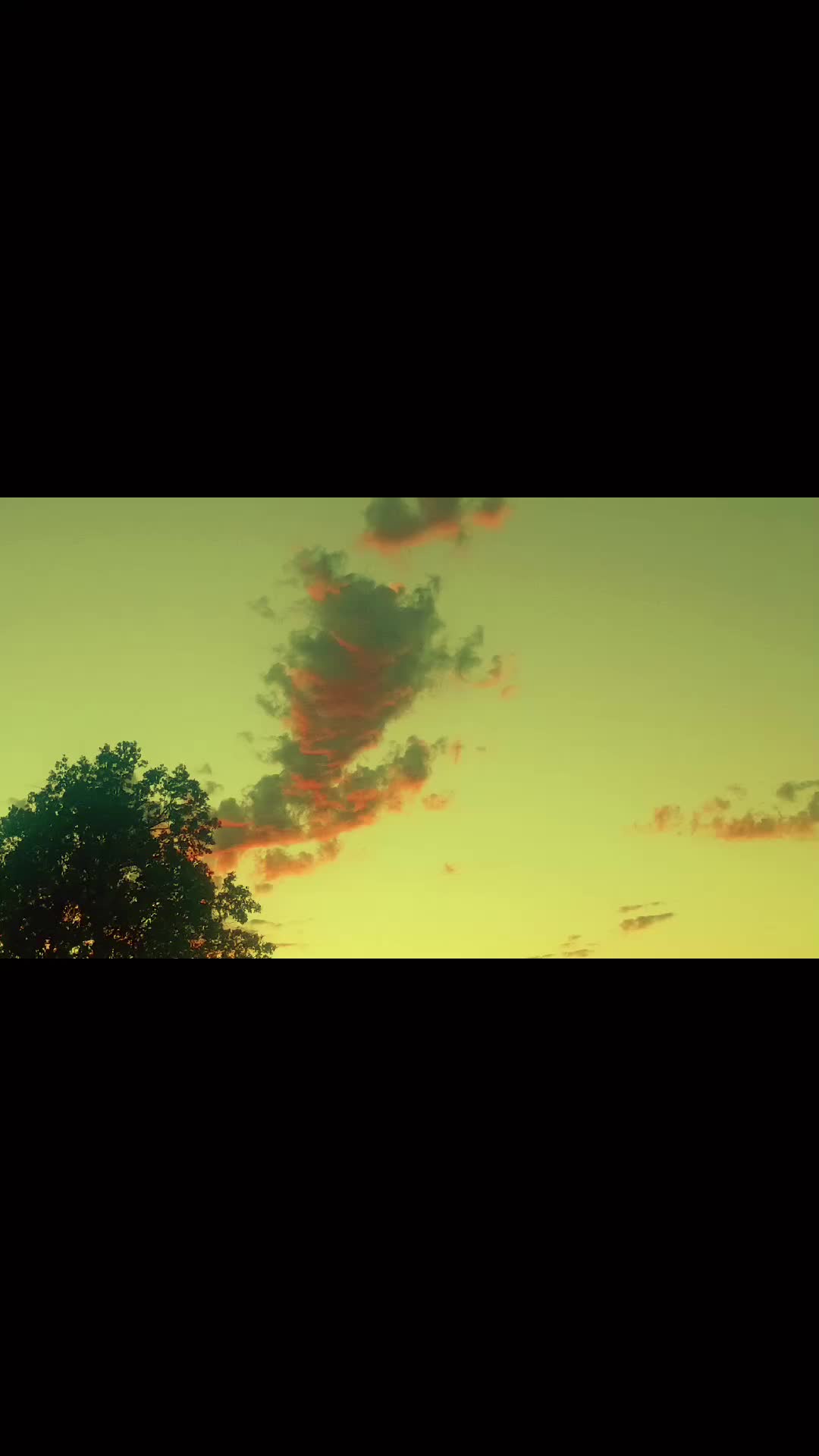 @foxandfernfilmco