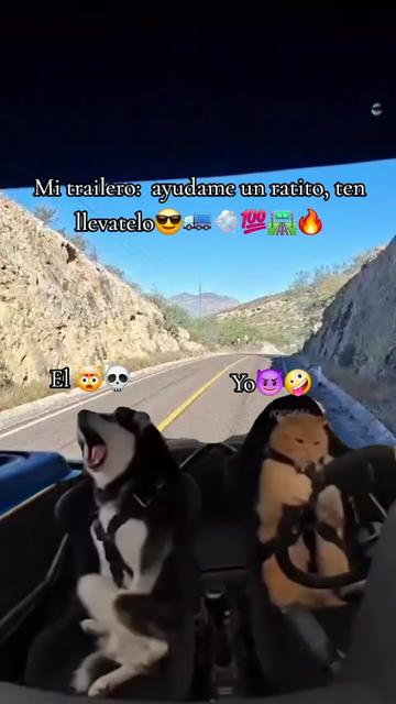 @JarochaDe❤️_👑💅🏻