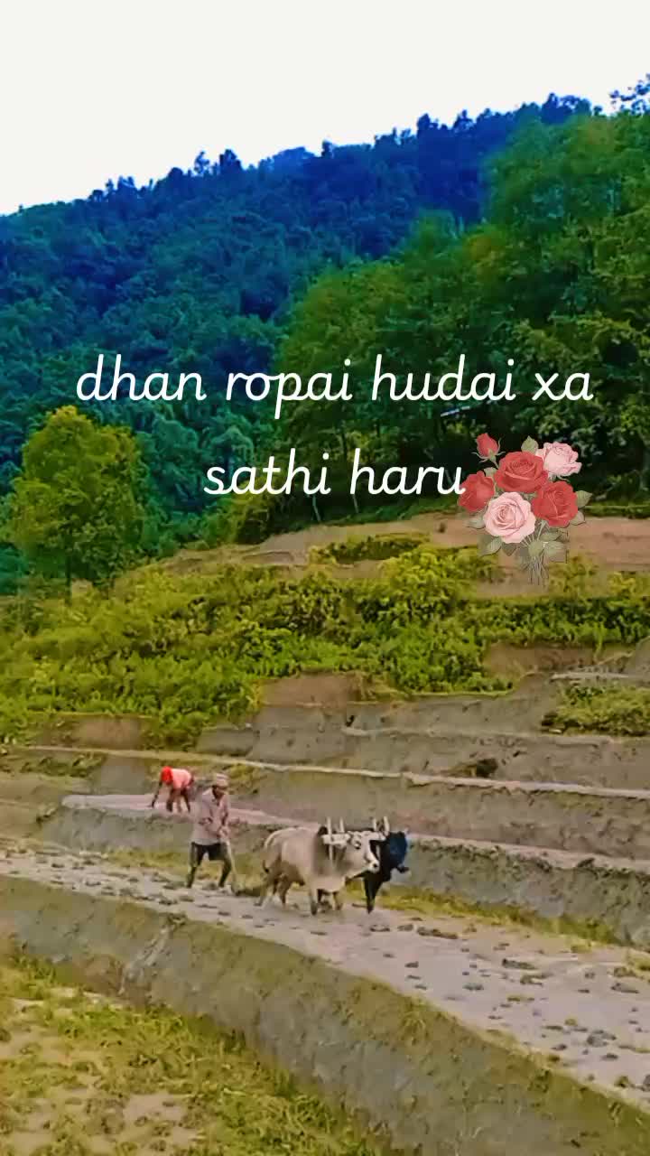 @kushum Darnal