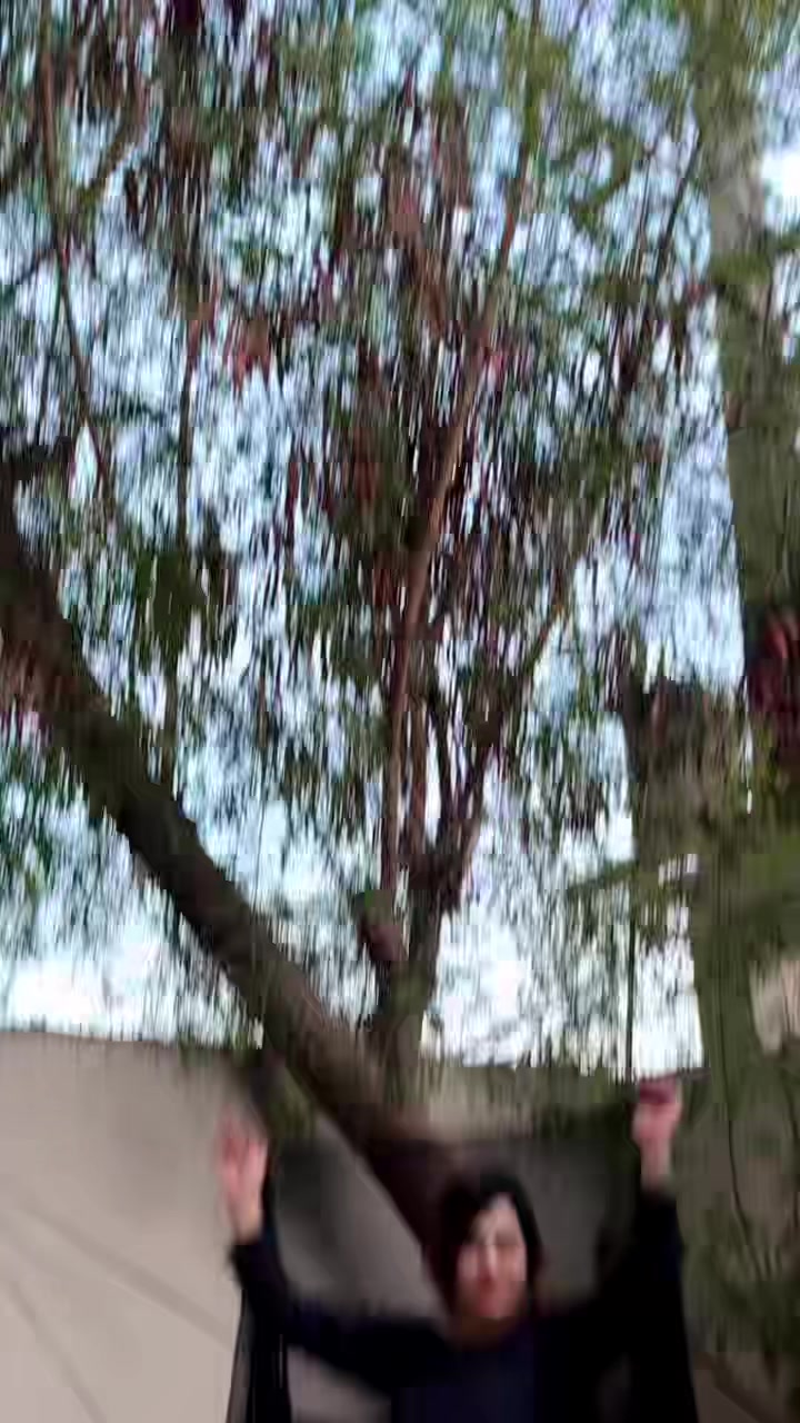 @ANEESA JAHAN