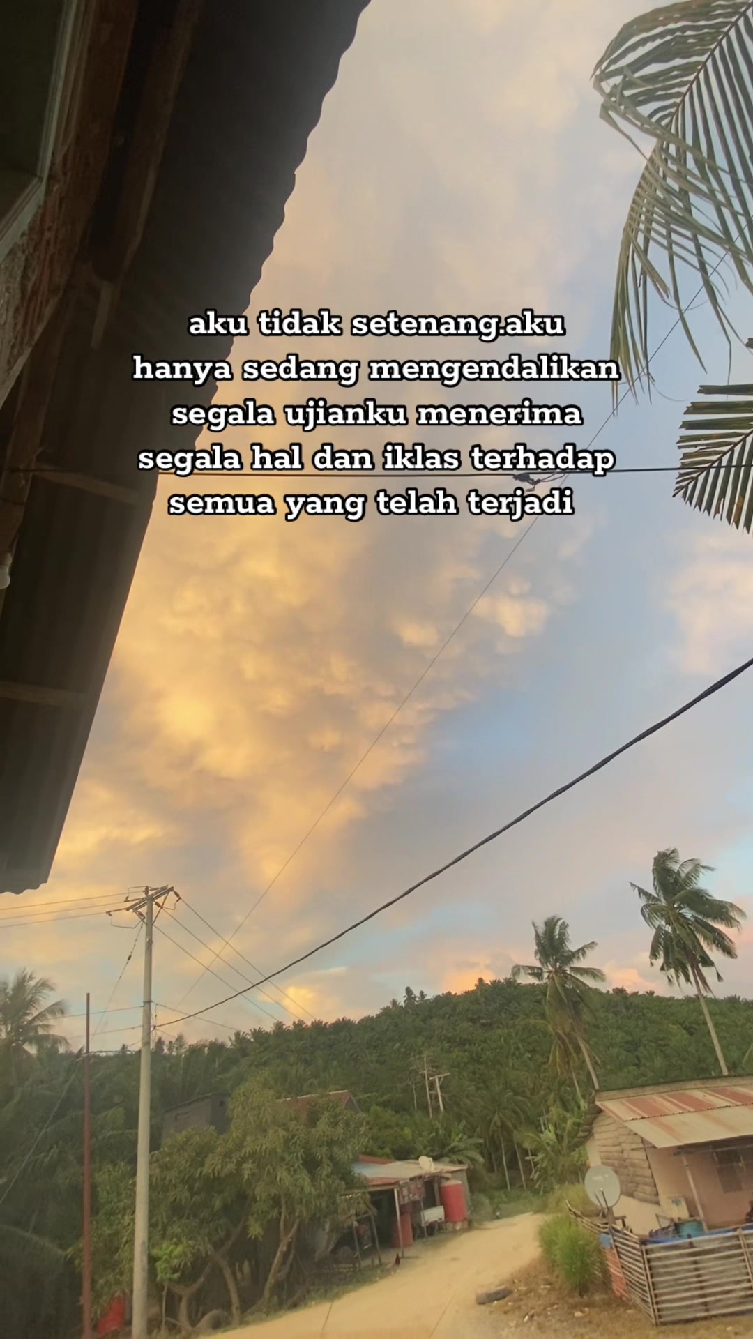 @📷 iFANG©️💤