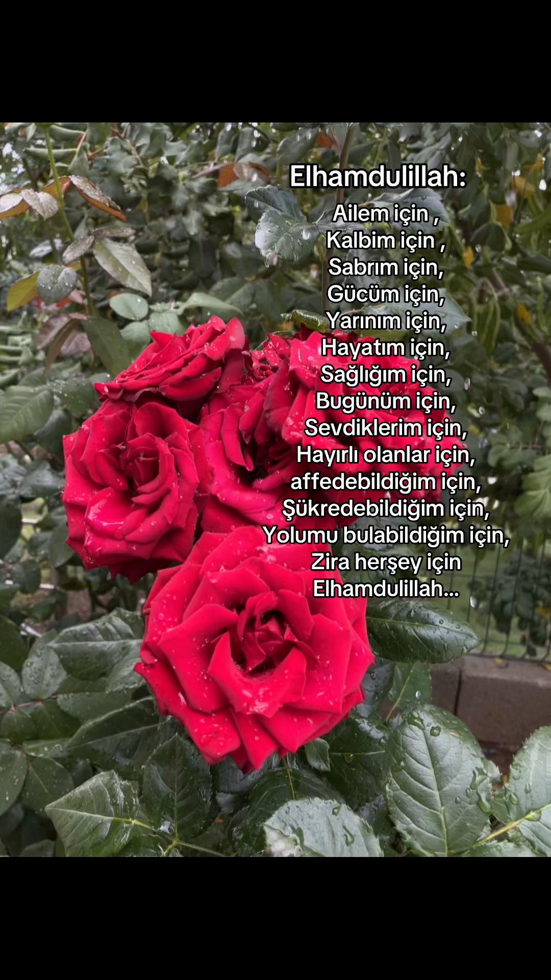 @Caner Turan 0104