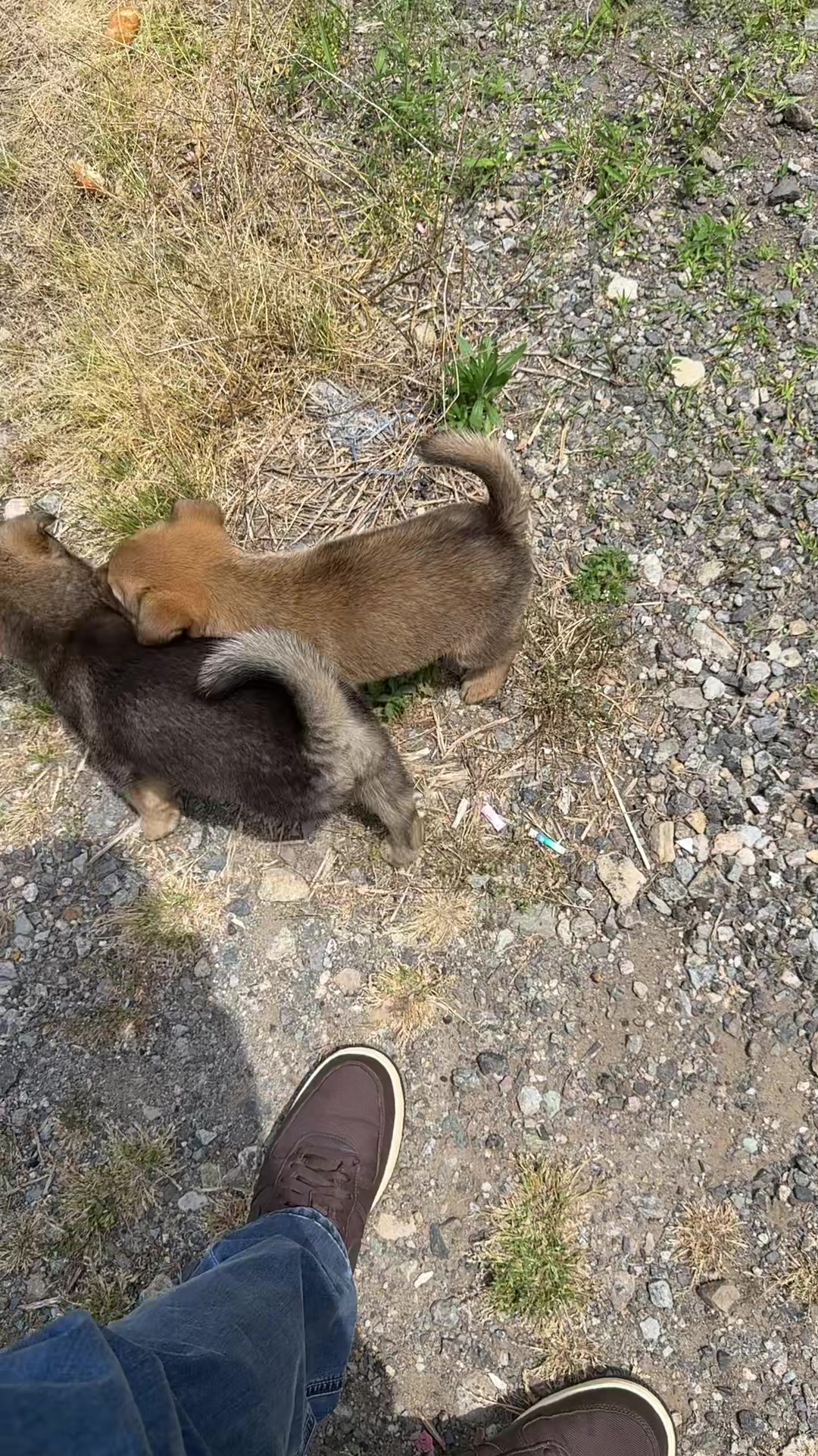 @창해엘앤씨