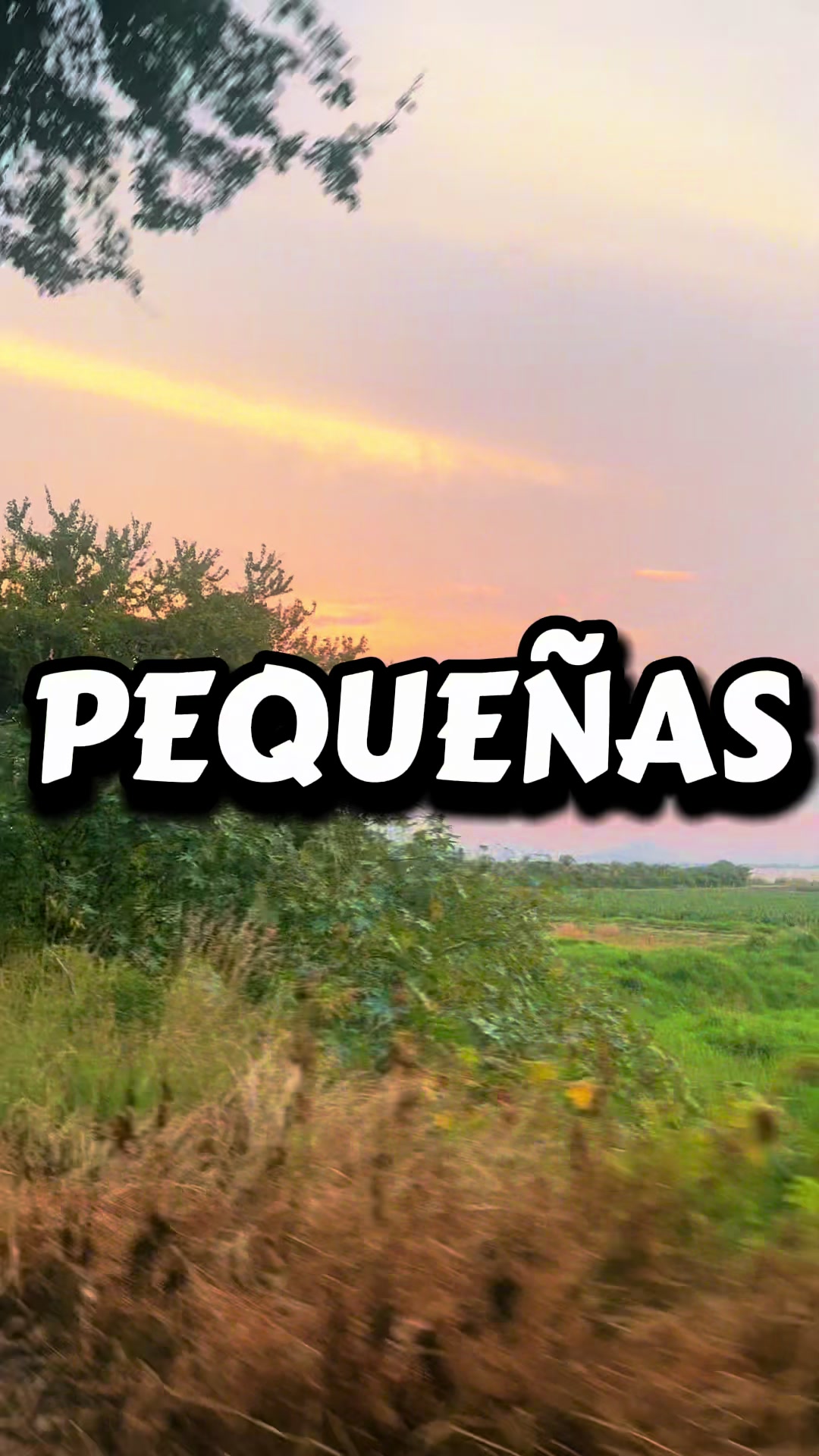 @DANY ALEX