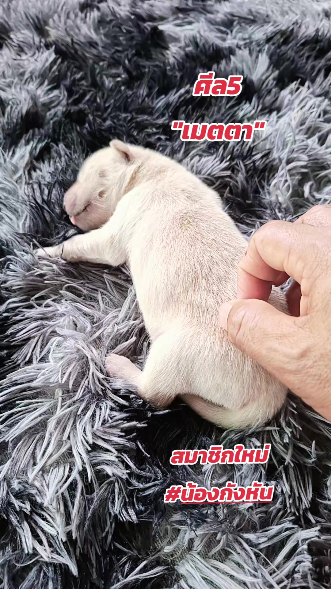 @หนึ่งเดียวบนโลกกว้าง