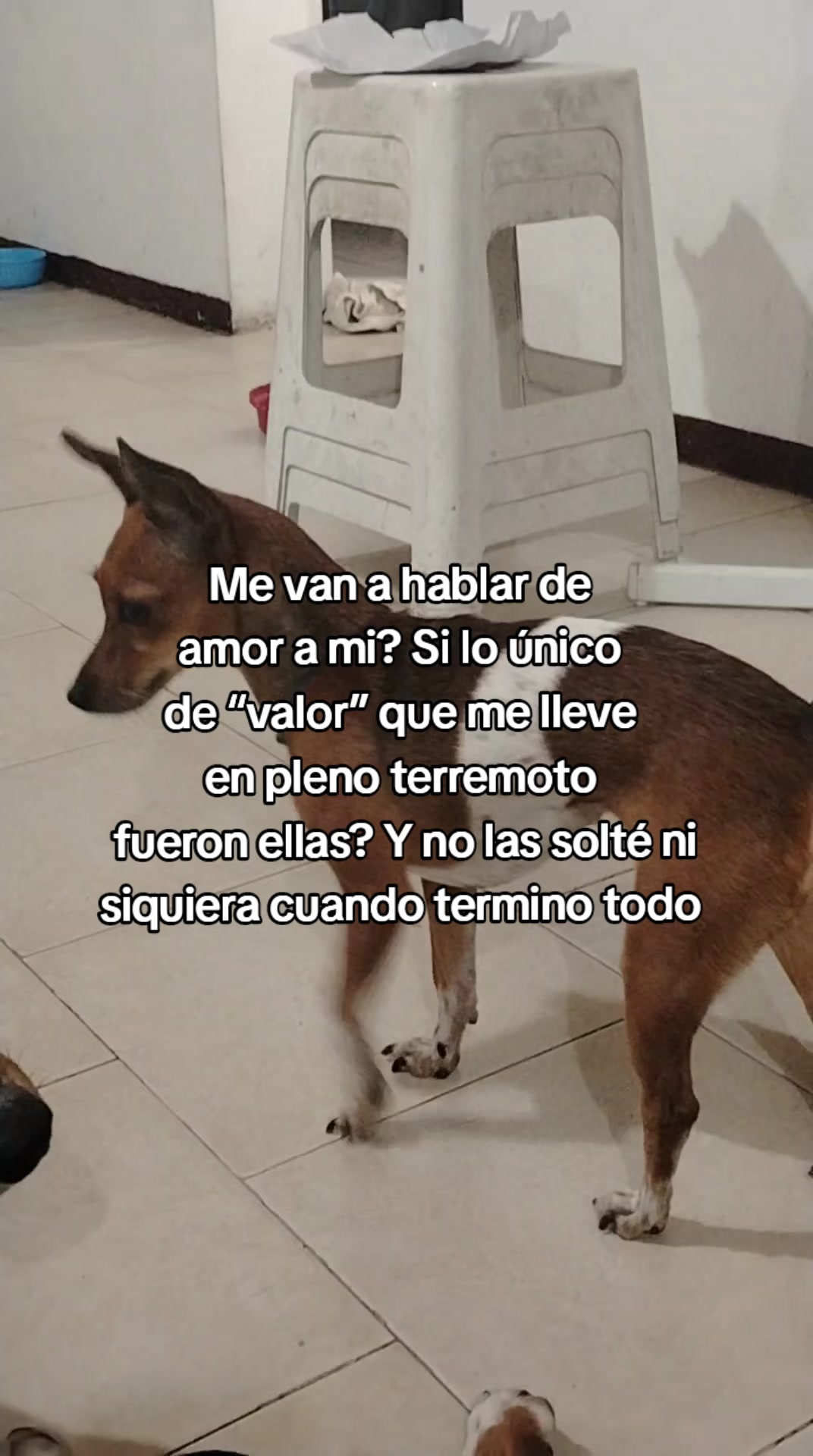 @vanyyy ⭐