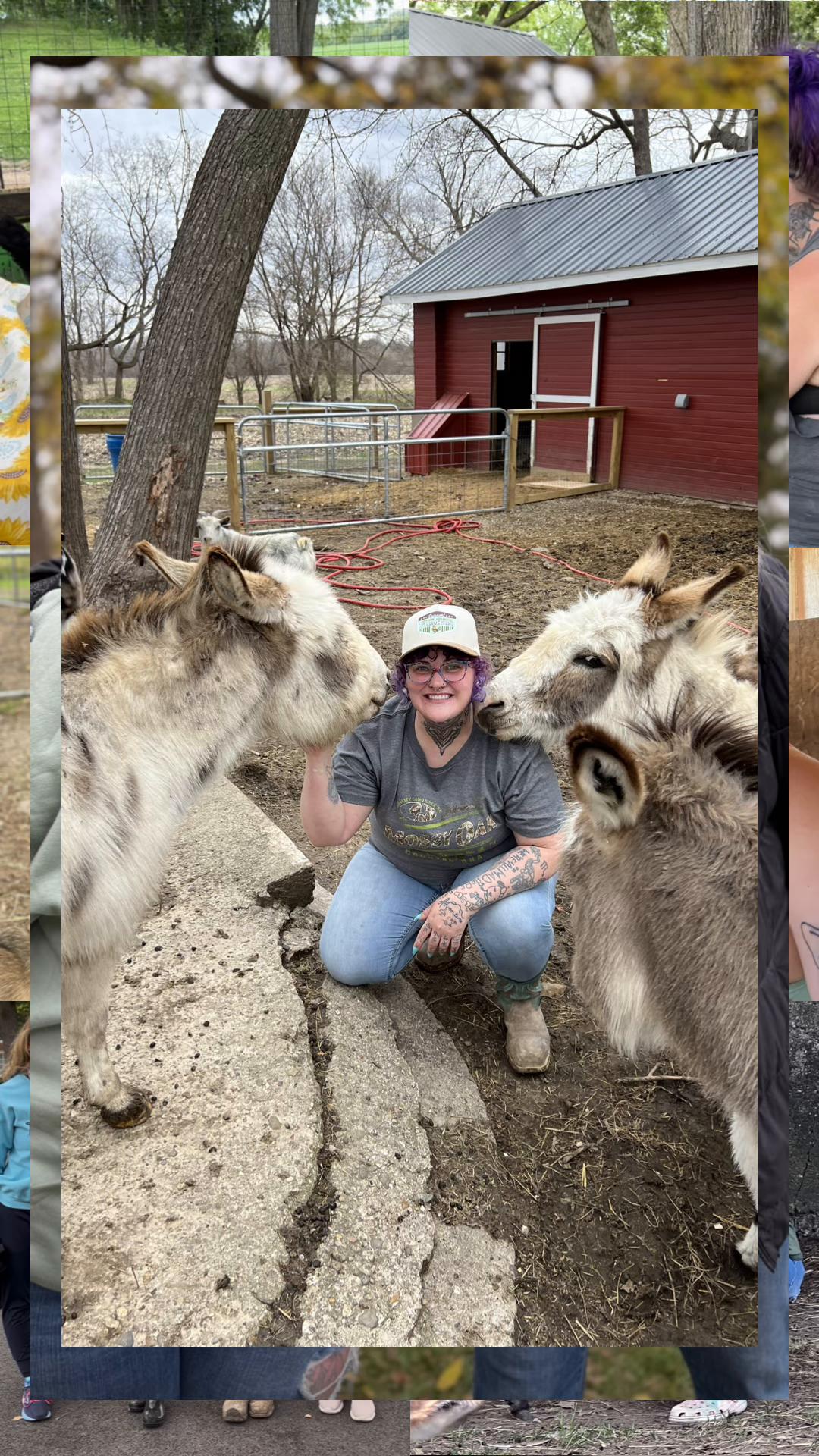 @Kitzman&rsquo;s Farm Sanctuary