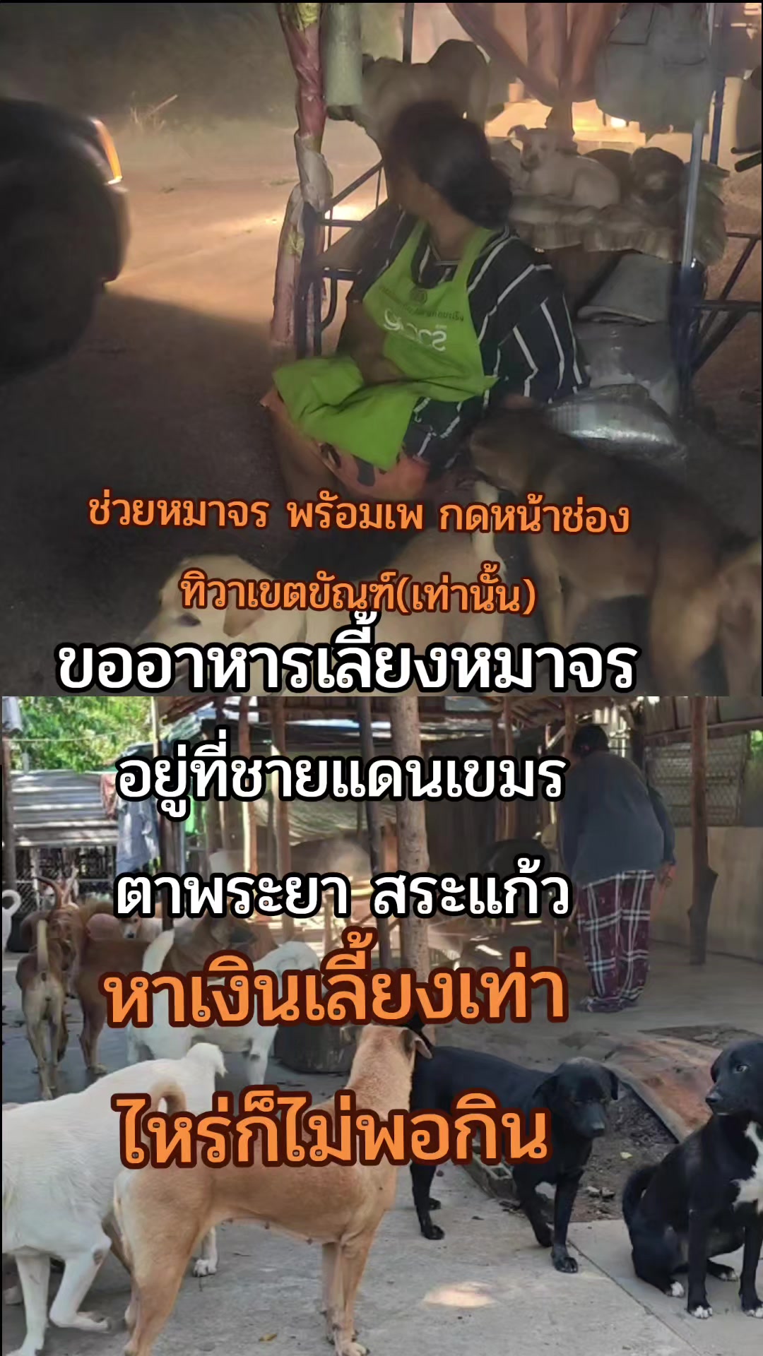 @๐๘๖๑๔o๘๓๙๖ทิวาเขตขัณฑ์