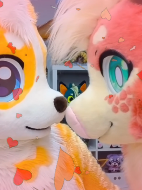 @Corgi
