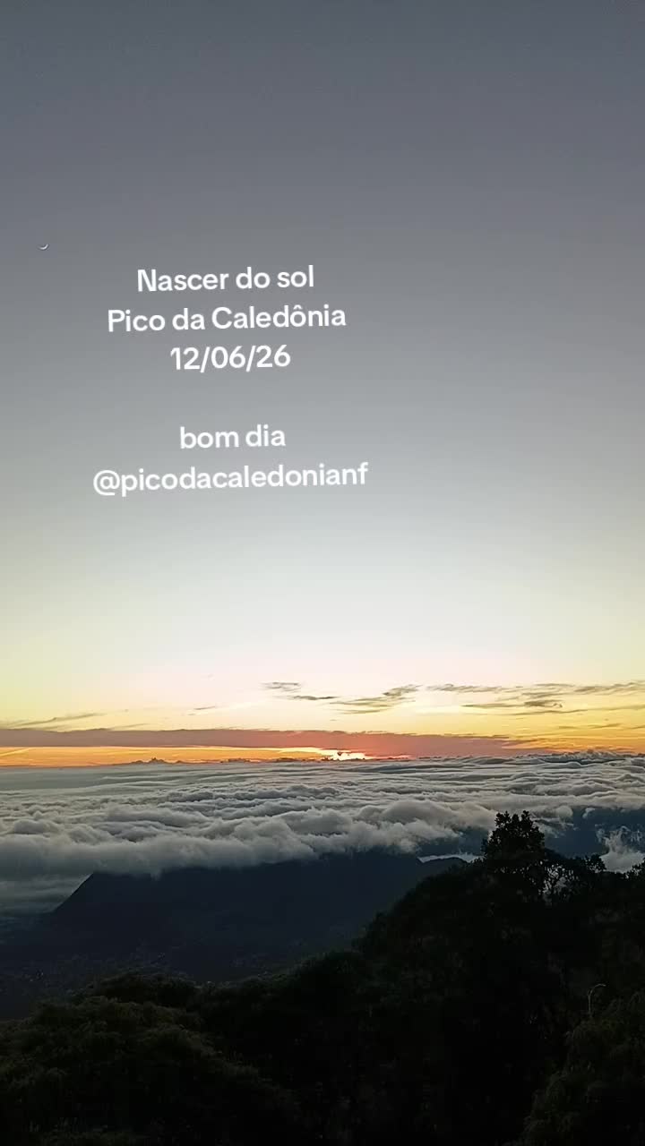 @sjb.adesivos