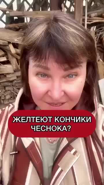 @dom_rustaevy