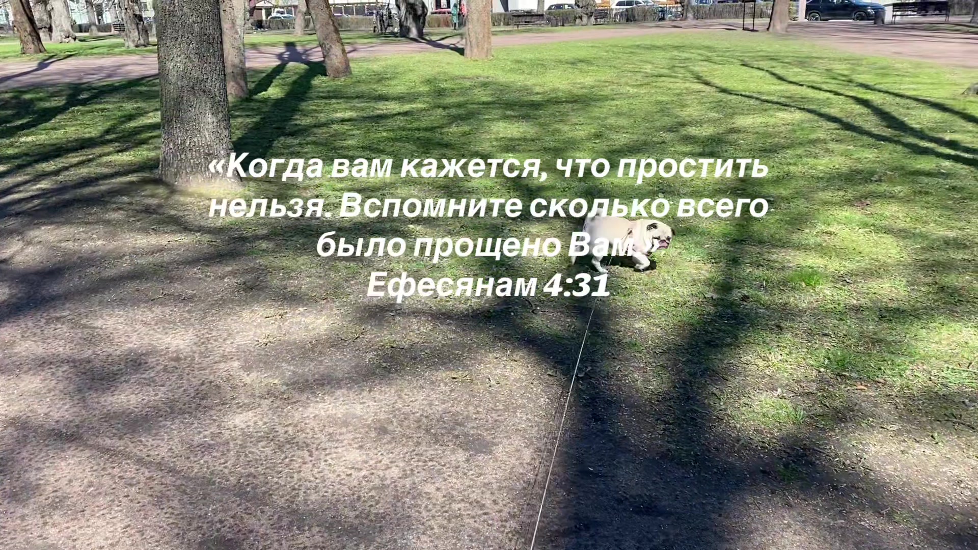 @диша киса