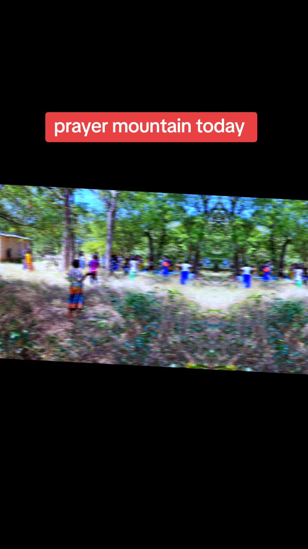 @prophet David