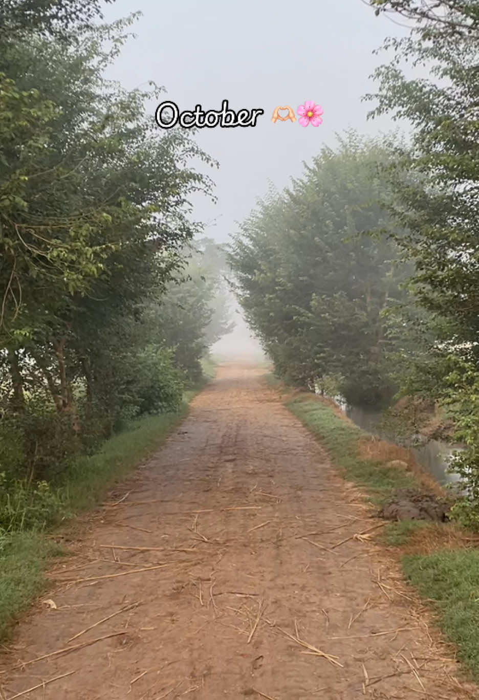 @😎اویس راجپوت🕊️❤️🔥