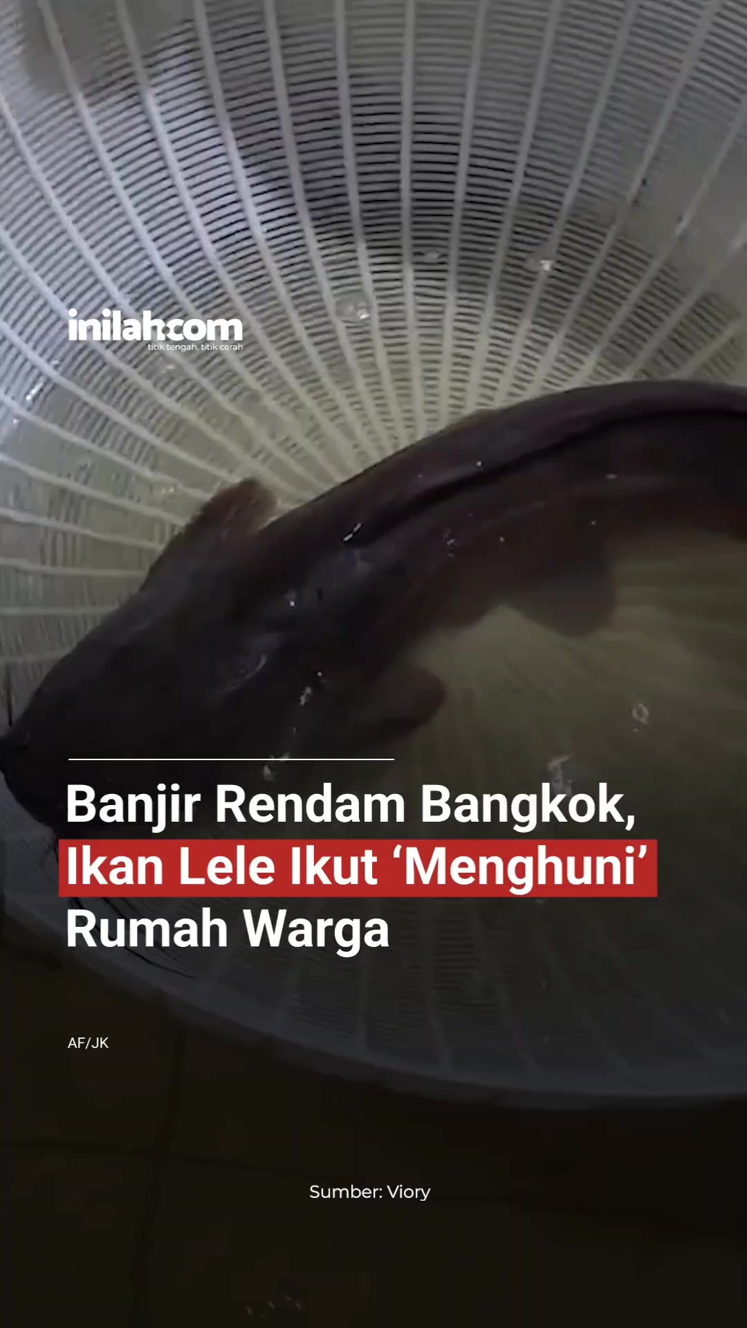 @Inilah.com