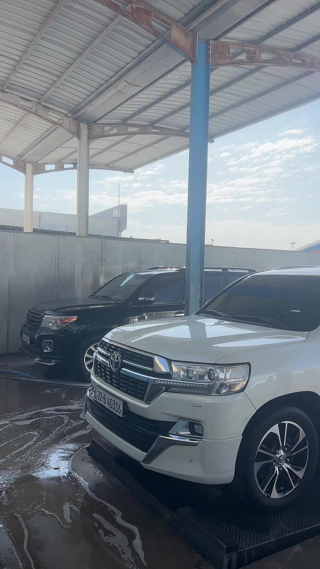@Dana Cars🏎️