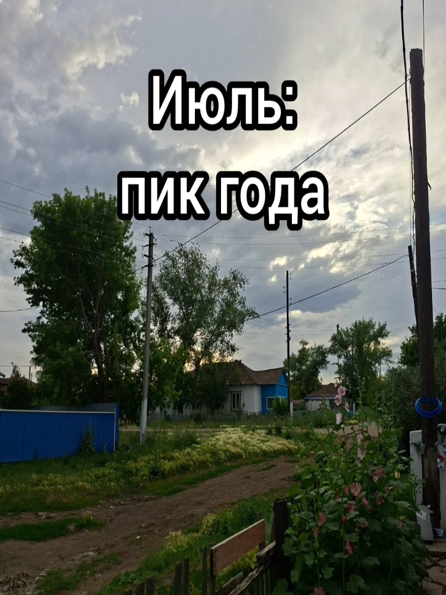 @Maks