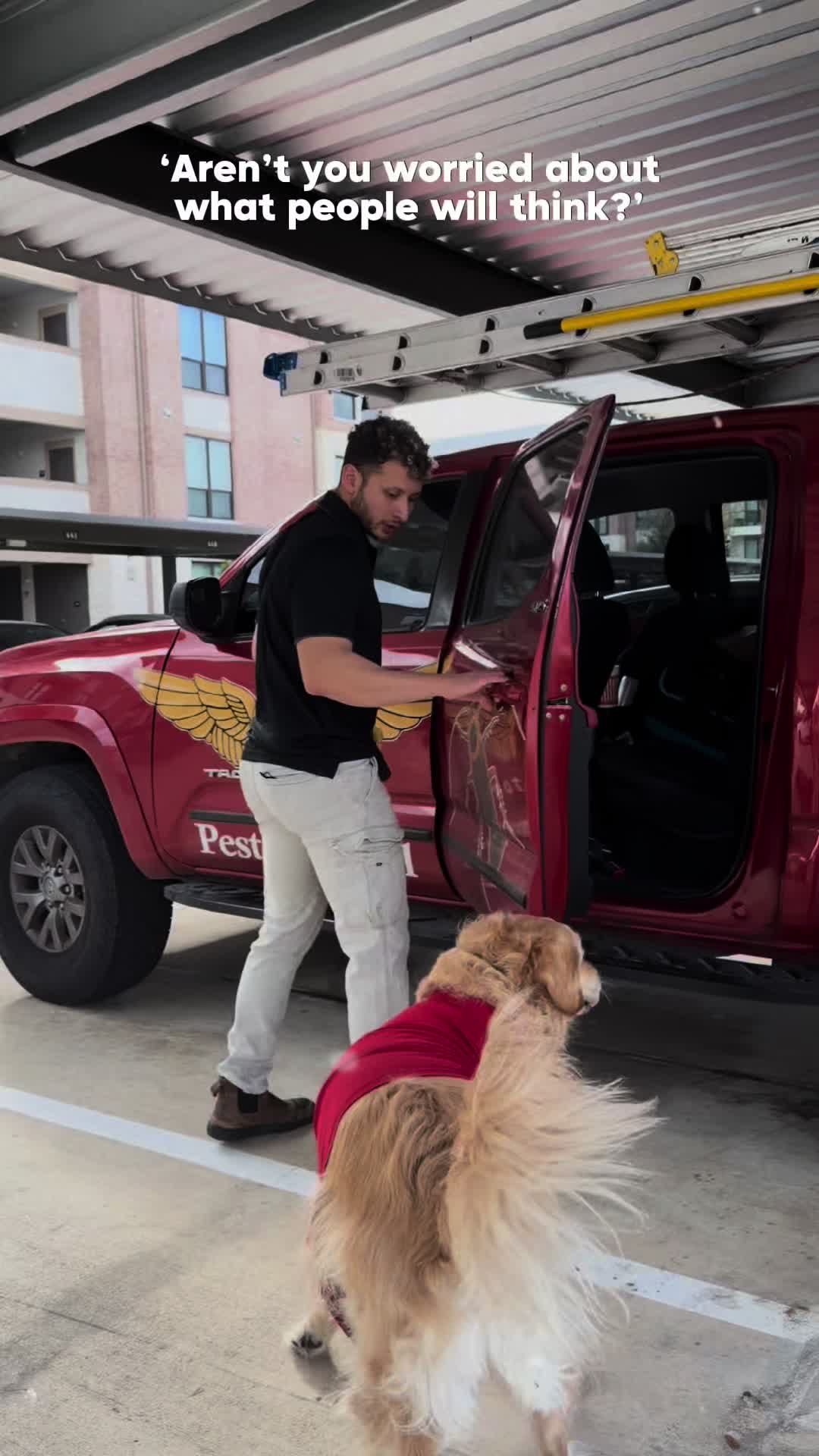 @Aviator Pest Control