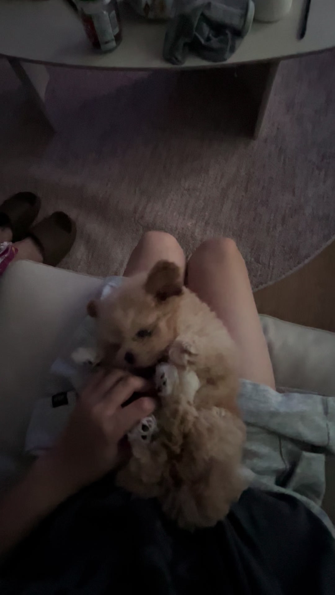 @박줄격