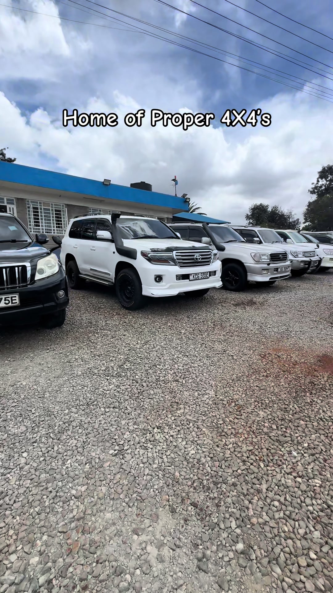 @Hashi Cars