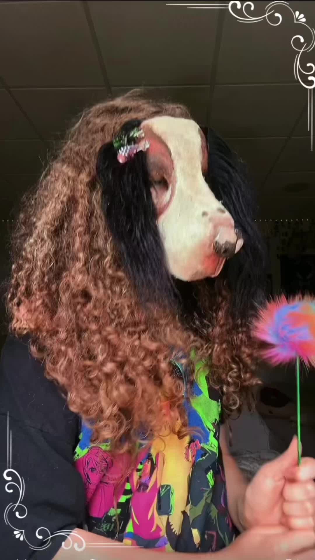 @🎭ραωz🐾кα 𐂯 .ᐟ⸝⸝