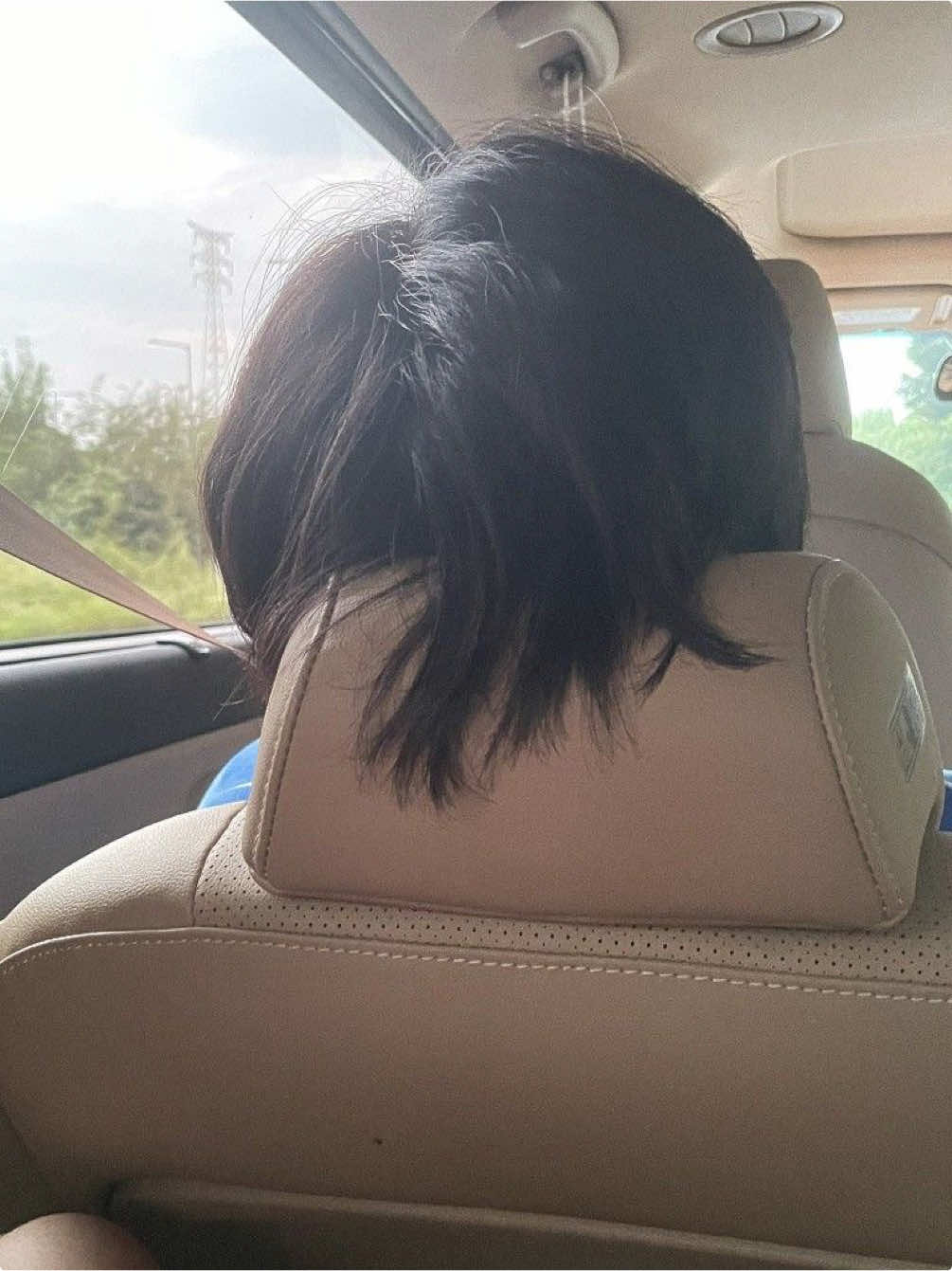 @jihoon lover 69 ˣʰ