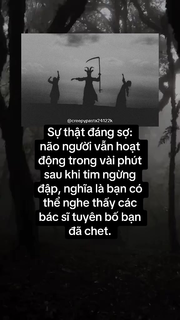 @𝐂𝐎𝐃𝐄𝐗