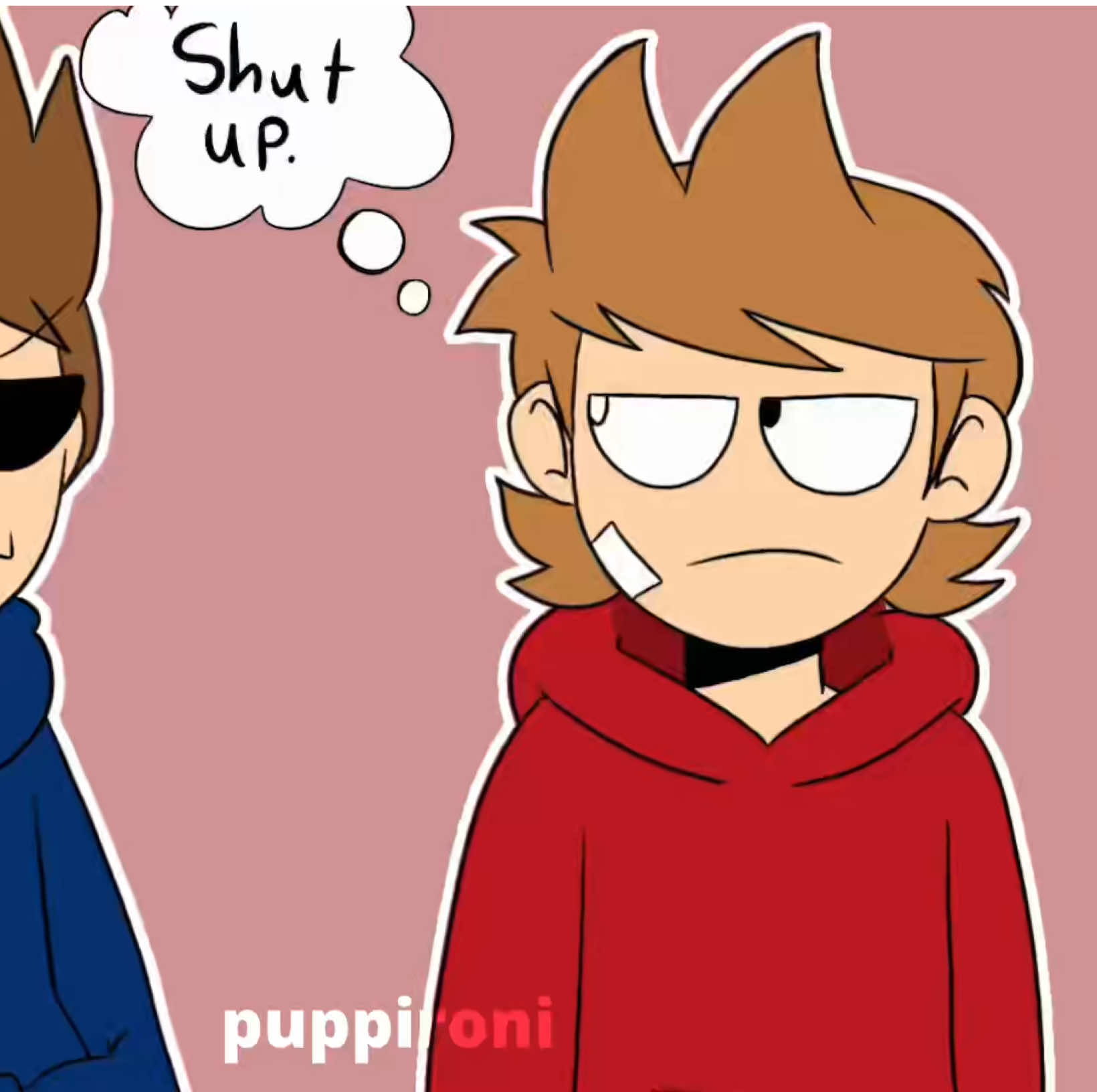 @⋆˚࿔ Puppironi 𝜗𝜚˚⋆